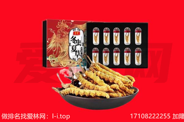 广州市黄埔回收虫草.jpg